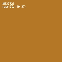 #B37725 - Copper Color Image