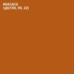 #B45A16 - Fiery Orange Color Image