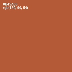 #B45A36 - Brown Rust Color Image