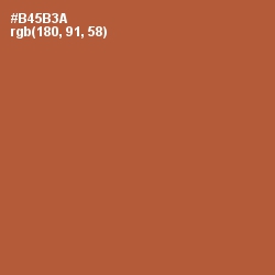 #B45B3A - Brown Rust Color Image