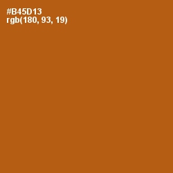 #B45D13 - Fiery Orange Color Image