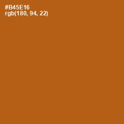 #B45E16 - Fiery Orange Color Image