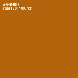 #B4640D - Pumpkin Skin Color Image