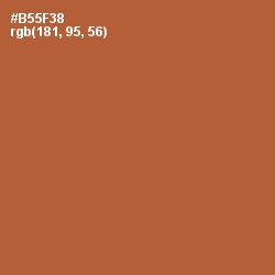 #B55F38 - Brown Rust Color Image