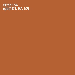 #B56134 - Copper Color Image