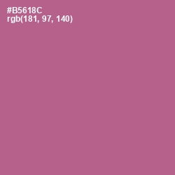 #B5618C - Turkish Rose Color Image