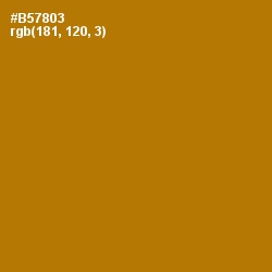 #B57803 - Pirate Gold Color Image