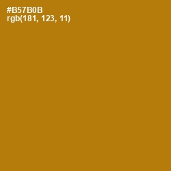 #B57B0B - Pirate Gold Color Image