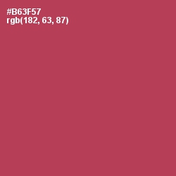 #B63F57 - Night Shadz Color Image