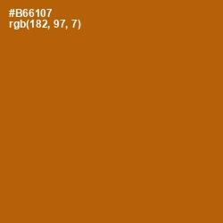 #B66107 - Pumpkin Skin Color Image