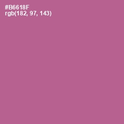 #B6618F - Turkish Rose Color Image