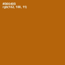 #B6640B - Pumpkin Skin Color Image