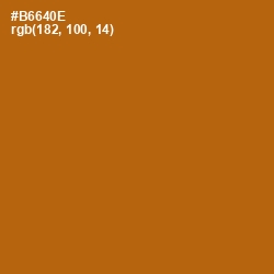 #B6640E - Pumpkin Skin Color Image