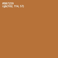 #B67239 - Copper Color Image