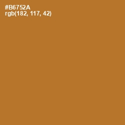 #B6752A - Copper Color Image