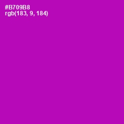 #B709B8 - Violet Eggplant Color Image