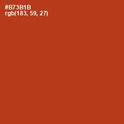 #B73B1B - Tabasco Color Image