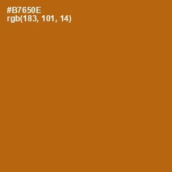 #B7650E - Pumpkin Skin Color Image