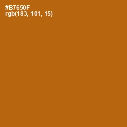 #B7650F - Pumpkin Skin Color Image