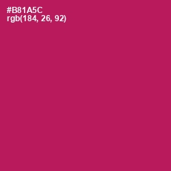 #B81A5C - Jazzberry Jam Color Image