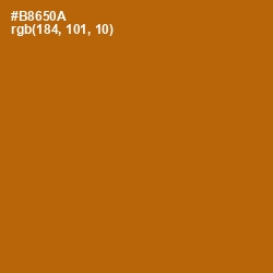 #B8650A - Pumpkin Skin Color Image