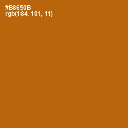 #B8650B - Pumpkin Skin Color Image