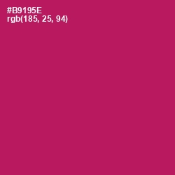 #B9195E - Jazzberry Jam Color Image