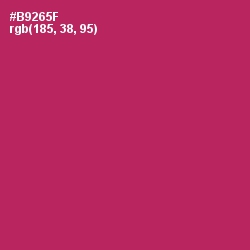 #B9265F - Night Shadz Color Image