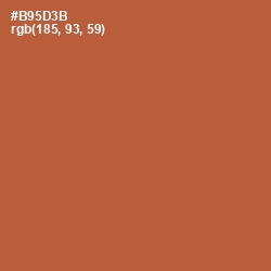 #B95D3B - Brown Rust Color Image