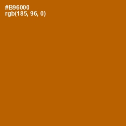 #B96000 - Mai Tai Color Image