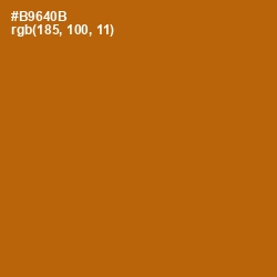 #B9640B - Pumpkin Skin Color Image