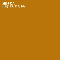 #B9750A - Pirate Gold Color Image