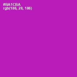 #BA1CBA - Violet Eggplant Color Image