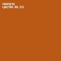 #BA5816 - Fiery Orange Color Image