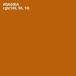 #BA600A - Pumpkin Skin Color Image