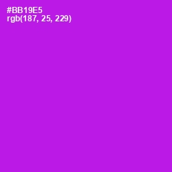 #BB19E5 - Electric Violet Color Image