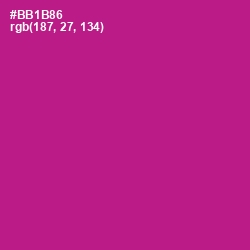 #BB1B86 - Medium Red Violet Color Image