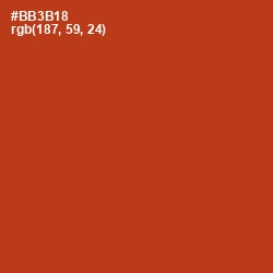 #BB3B18 - Tabasco Color Image