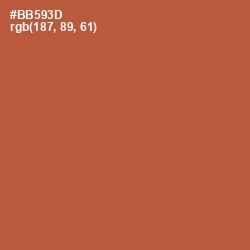 #BB593D - Brown Rust Color Image