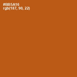 #BB5A16 - Fiery Orange Color Image