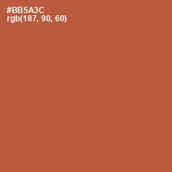 #BB5A3C - Brown Rust Color Image