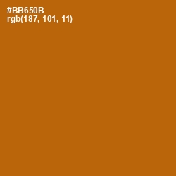 #BB650B - Pumpkin Skin Color Image