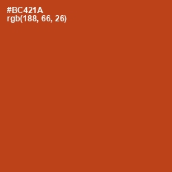 #BC421A - Rust Color Image