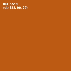 #BC5A14 - Fiery Orange Color Image