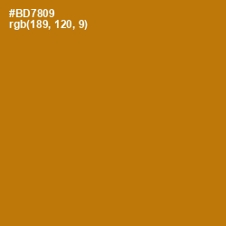 #BD7809 - Pirate Gold Color Image