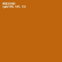 #BE650D - Pumpkin Skin Color Image