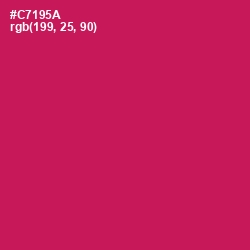 #C7195A - Maroon Flush Color Image