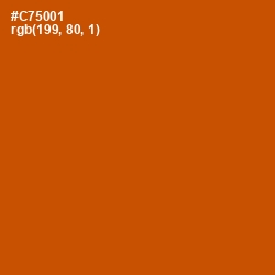 #C75001 - Burnt Orange Color Image