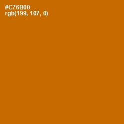 #C76B00 - Indochine Color Image