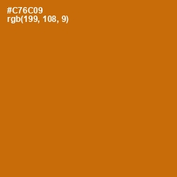 #C76C09 - Indochine Color Image